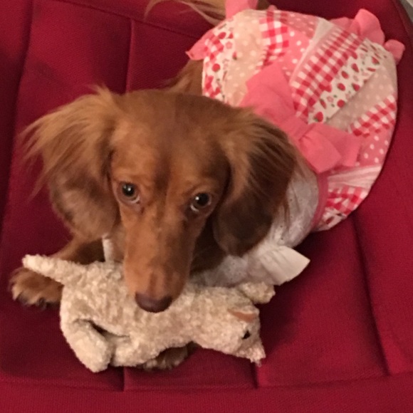 Meet your Posher, Alexandra - Picture 1 of 1